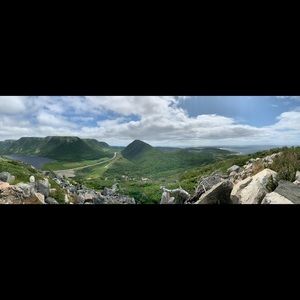 Meet your Posher, Bridget